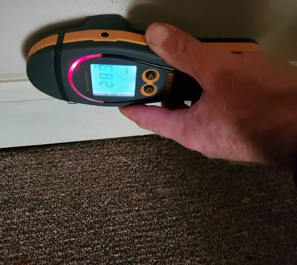 Moisture detection at baseboard during Mold Inspection & Testing in Clayton